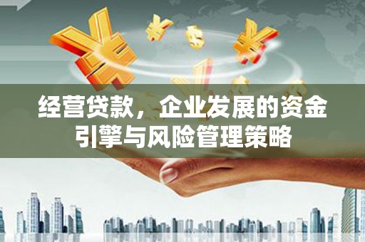 南州经营贷款，企业发展的资金引擎与风险管理策略
