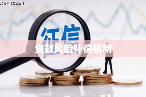 徽县贷款风险补偿机制