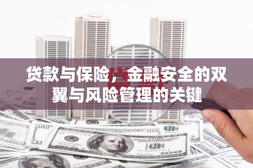 莫旗贷款与保险，金融安全的双翼与风险管理的关键