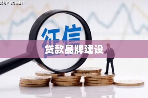 聂荣贷款品牌建设