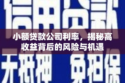 京口小额贷款公司利率，揭秘高收益背后的风险与机遇