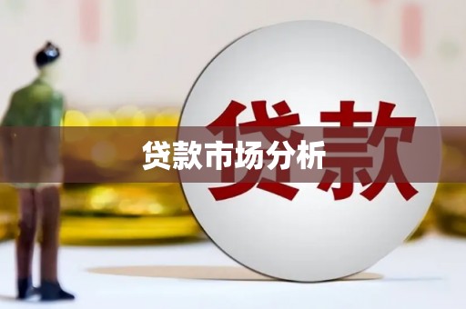 鱼池贷款市场分析