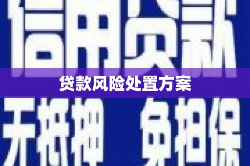 左镇贷款风险处置方案