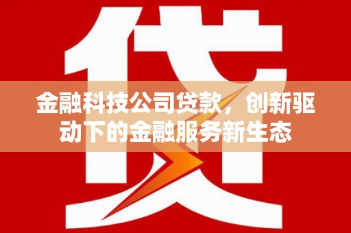 大林金融科技公司贷款，创新驱动下的金融服务新生态