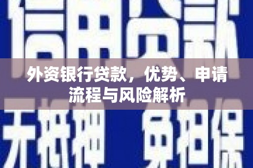 永寿外资银行贷款，优势、申请流程与风险解析
