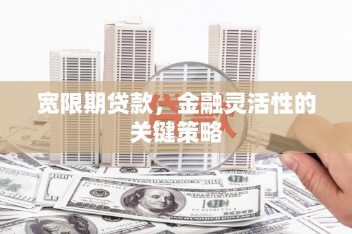 苏尼特右旗宽限期贷款，金融灵活性的关键策略
