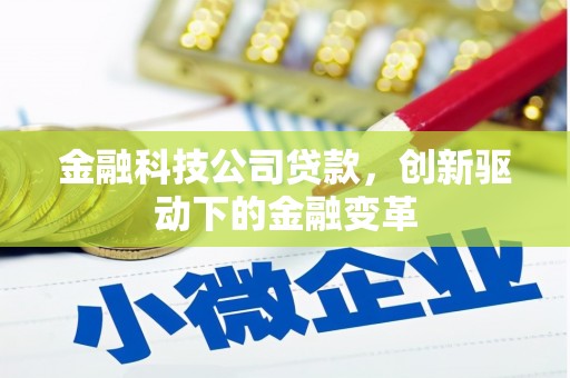 莱山金融科技公司贷款，创新驱动下的金融变革
