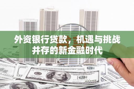 凤台外资银行贷款，机遇与挑战并存的新金融时代