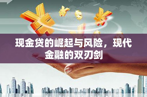 静海现金贷的崛起与风险，现代金融的双刃剑