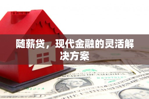 南岳随薪贷，现代金融的灵活解决方案