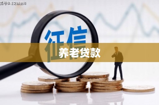 疏勒养老贷款
