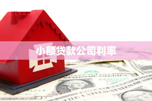 滑县小额贷款公司利率