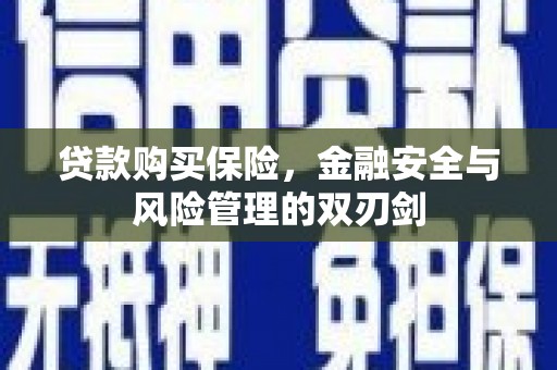 乐昌贷款购买保险，金融安全与风险管理的双刃剑