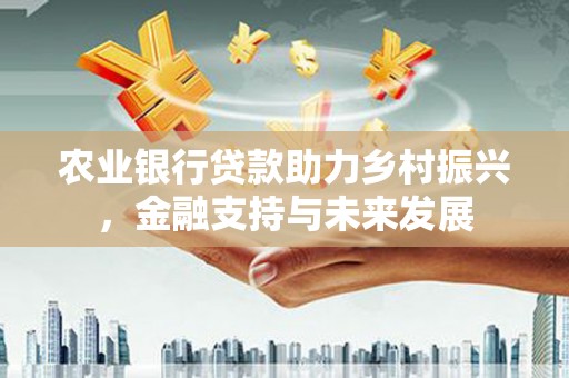定陶农业银行贷款助力乡村振兴，金融支持与未来发展