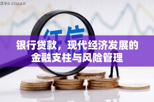 秦安银行贷款，现代经济发展的金融支柱与风险管理