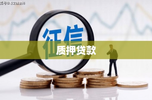 宜丰质押贷款