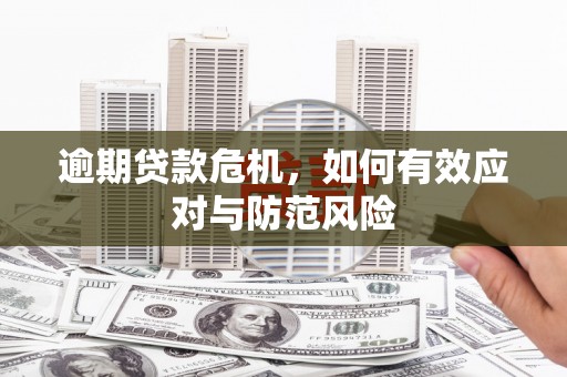 树林逾期贷款危机，如何有效应对与防范风险