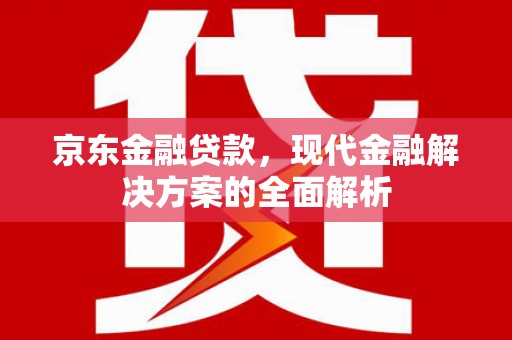 潭子京东金融贷款，现代金融解决方案的全面解析