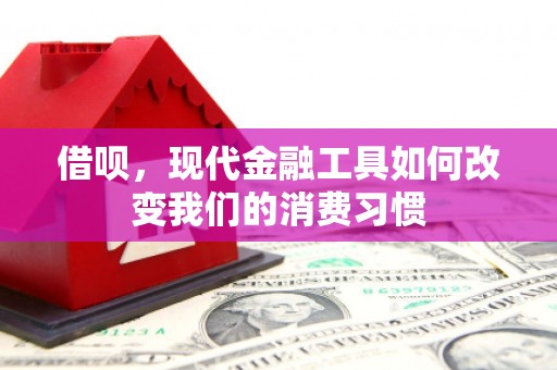 柳南借呗，现代金融工具如何改变我们的消费习惯