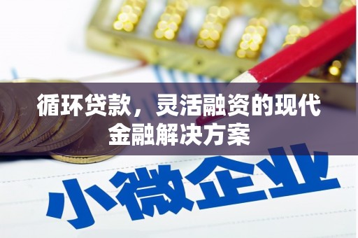 碌曲循环贷款，灵活融资的现代金融解决方案