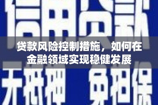 兴宾贷款风险控制措施，如何在金融领域实现稳健发展