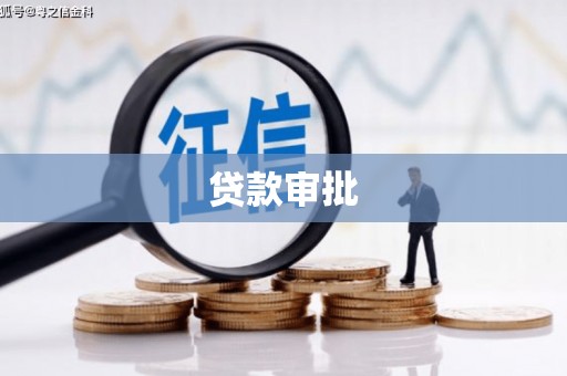 舞钢贷款审批