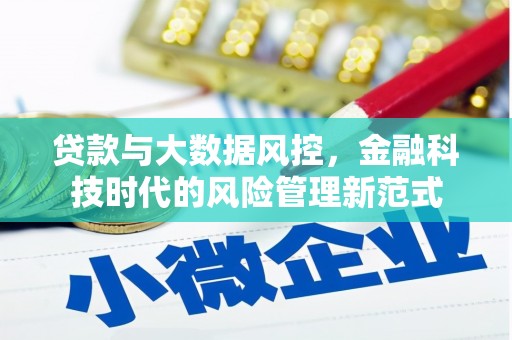 西屿贷款与大数据风控，金融科技时代的风险管理新范式
