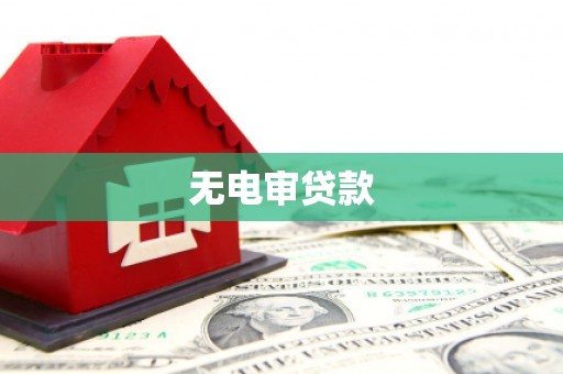 天津无电审贷款