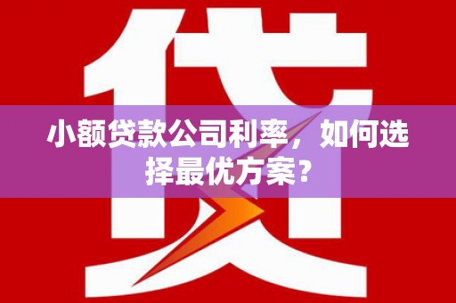 秦安小额贷款公司利率，如何选择最优方案？