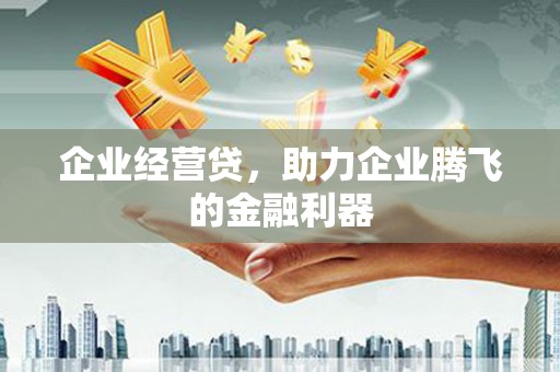嘉黎企业经营贷，助力企业腾飞的金融利器