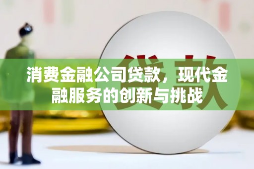 忠县消费金融公司贷款，现代金融服务的创新与挑战