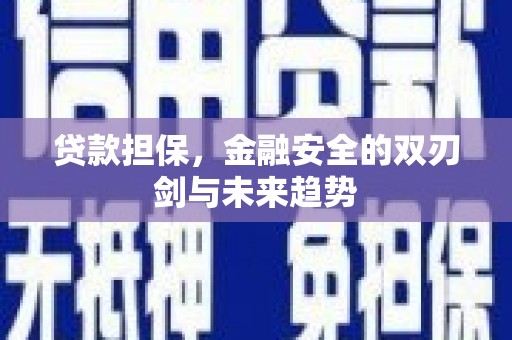 昭阳贷款担保，金融安全的双刃剑与未来趋势