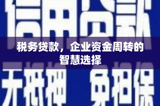 西安税务贷款，企业资金周转的智慧选择
