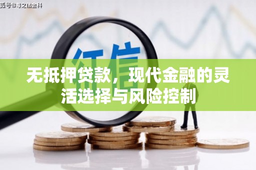 沙鹿无抵押贷款，现代金融的灵活选择与风险控制