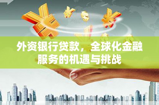 康保外资银行贷款，全球化金融服务的机遇与挑战