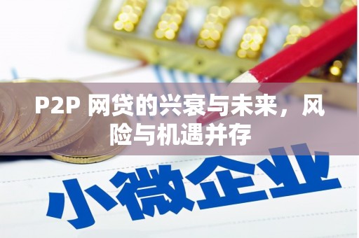青浦P2P 网贷的兴衰与未来，风险与机遇并存