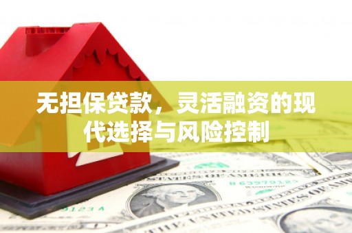 陆丰无担保贷款，灵活融资的现代选择与风险控制