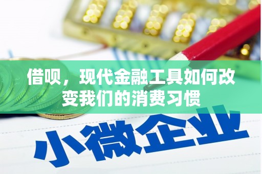 勐海借呗，现代金融工具如何改变我们的消费习惯
