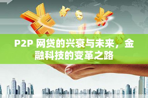 美兰P2P 网贷的兴衰与未来，金融科技的变革之路