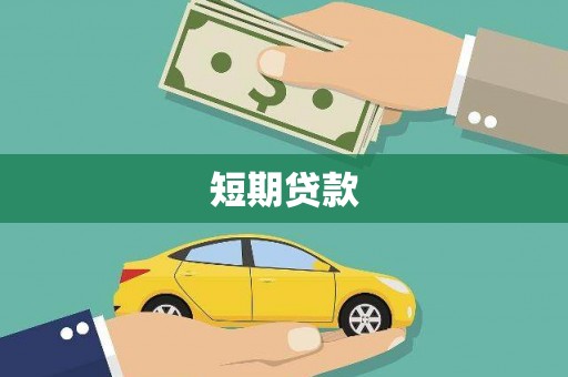 新平短期贷款