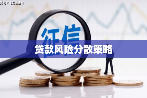 海原贷款风险分散策略