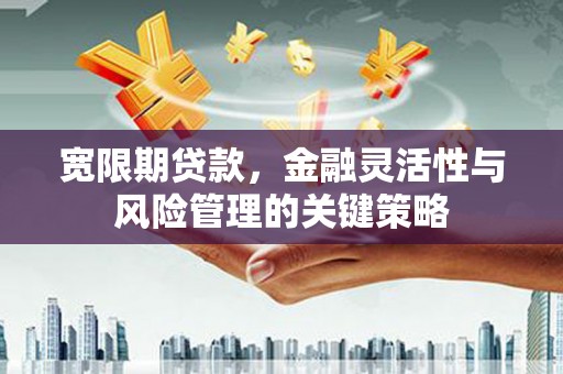 剑河宽限期贷款，金融灵活性与风险管理的关键策略