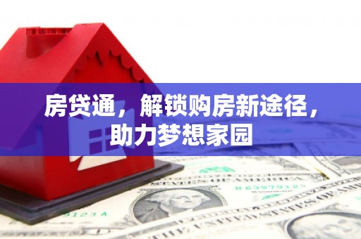大武房贷通，解锁购房新途径，助力梦想家园