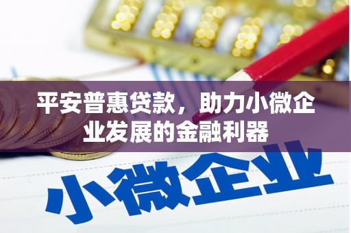 襄州平安普惠贷款，助力小微企业发展的金融利器