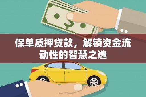 丽水保单质押贷款，解锁资金流动性的智慧之选