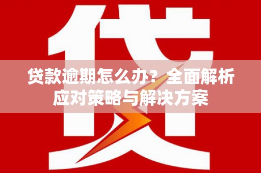 岳阳贷款逾期怎么办？全面解析应对策略与解决方案