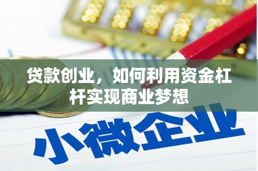 芦竹贷款创业，如何利用资金杠杆实现商业梦想