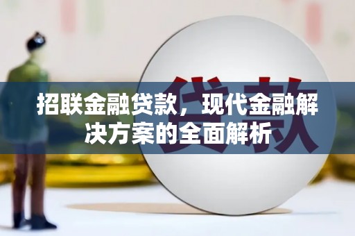 波密招联金融贷款，现代金融解决方案的全面解析