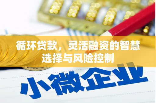 迎泽循环贷款，灵活融资的智慧选择与风险控制