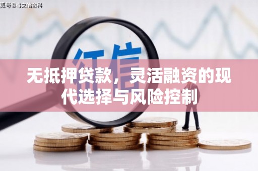 望奎无抵押贷款，灵活融资的现代选择与风险控制